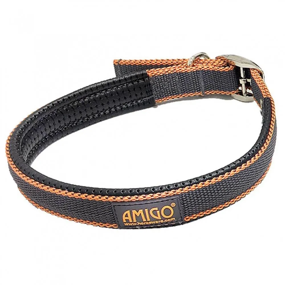 Amigo Dog Collar