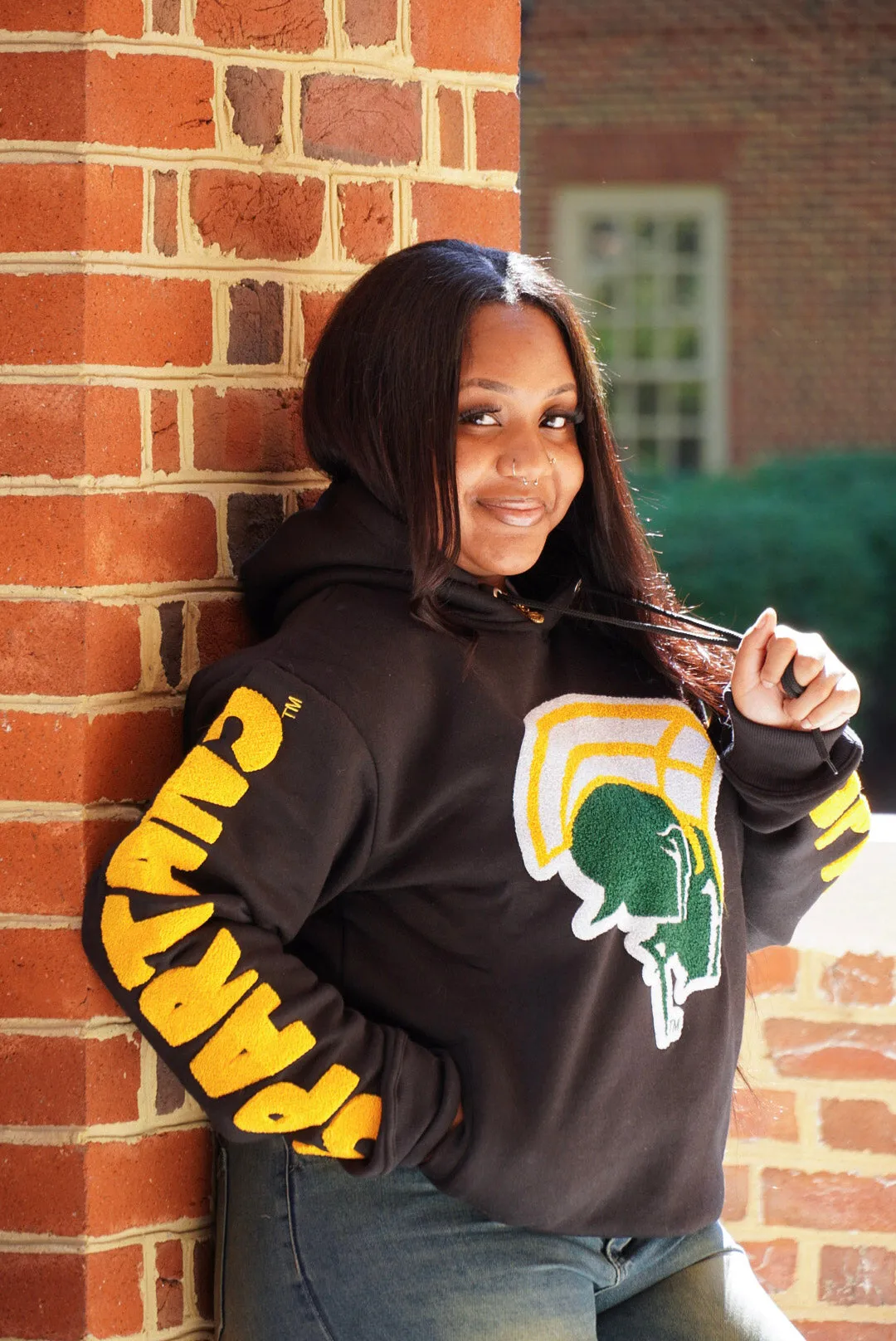 Black Norfolk State Concert Hoodie