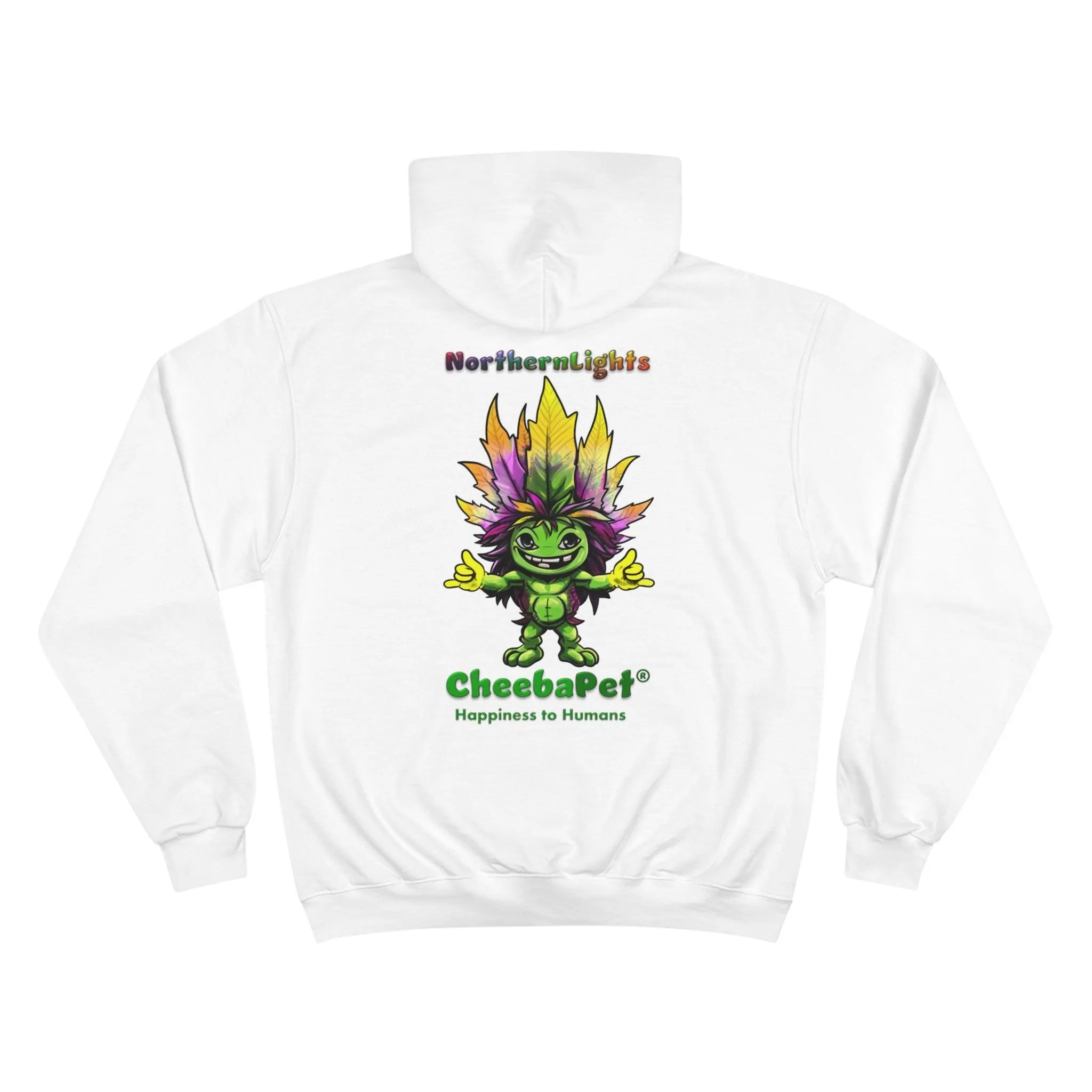 Champion Hoodie NorthernLights