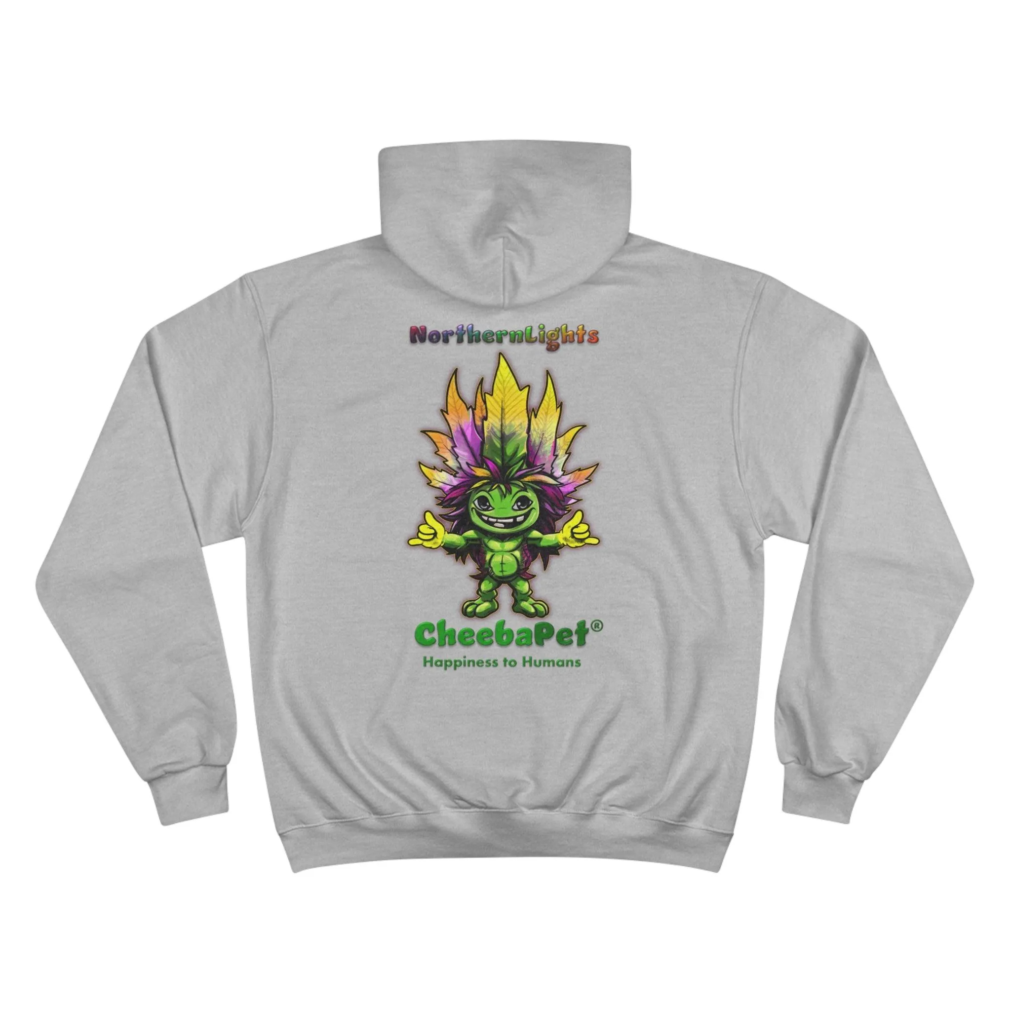 Champion Hoodie NorthernLights