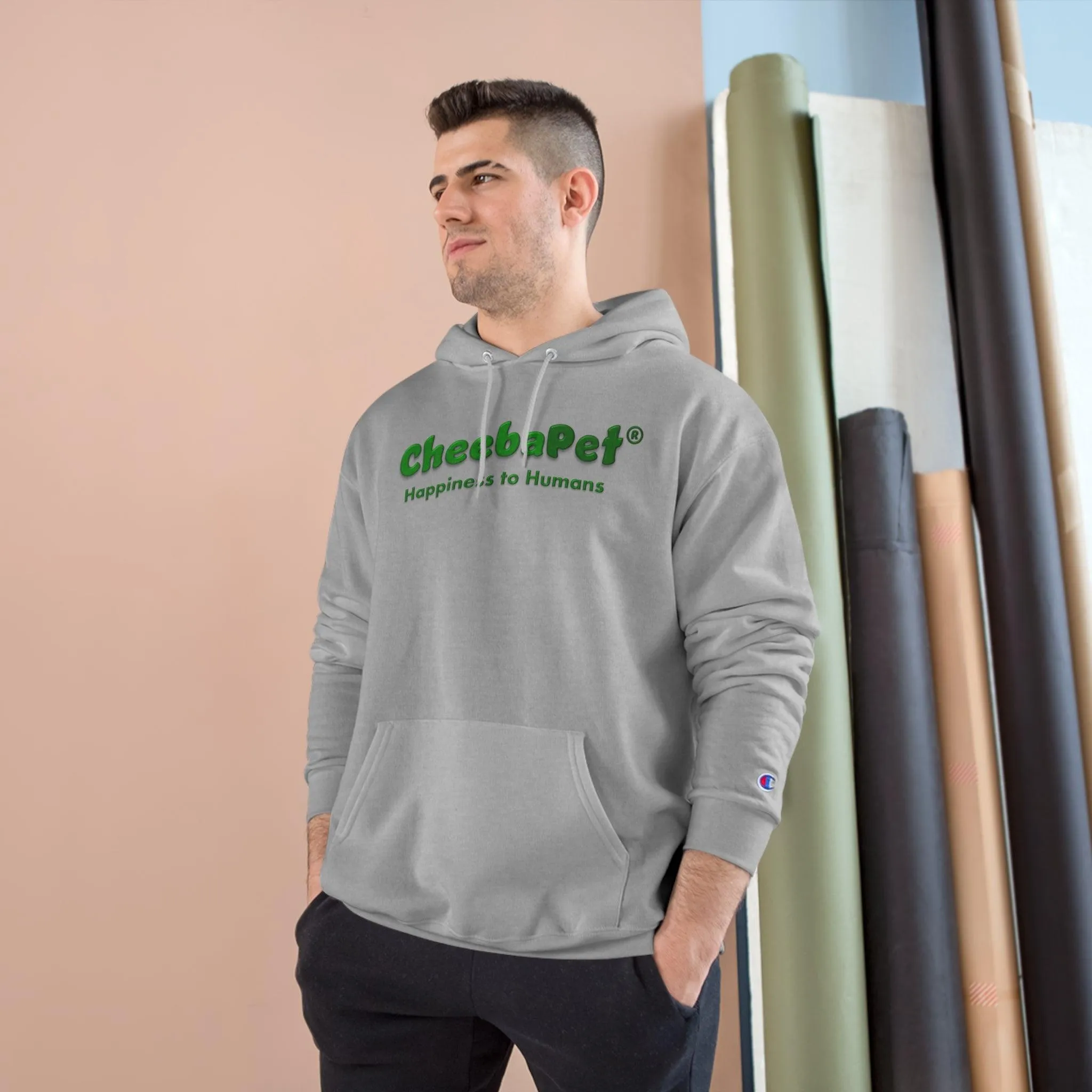 Champion Hoodie NorthernLights