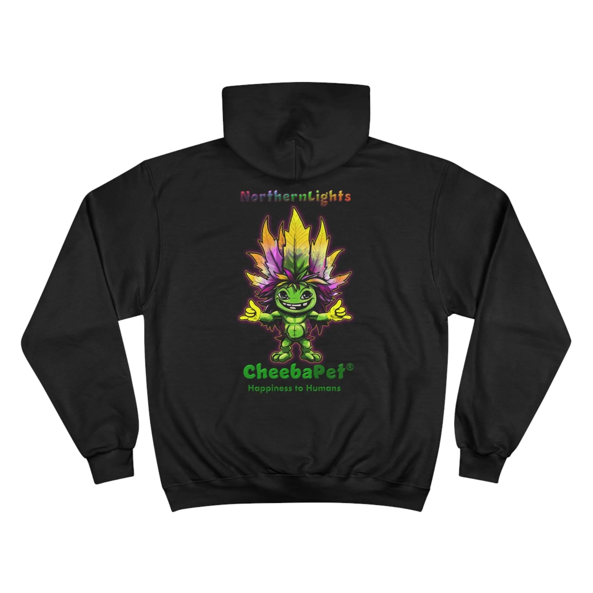 Champion Hoodie NorthernLights