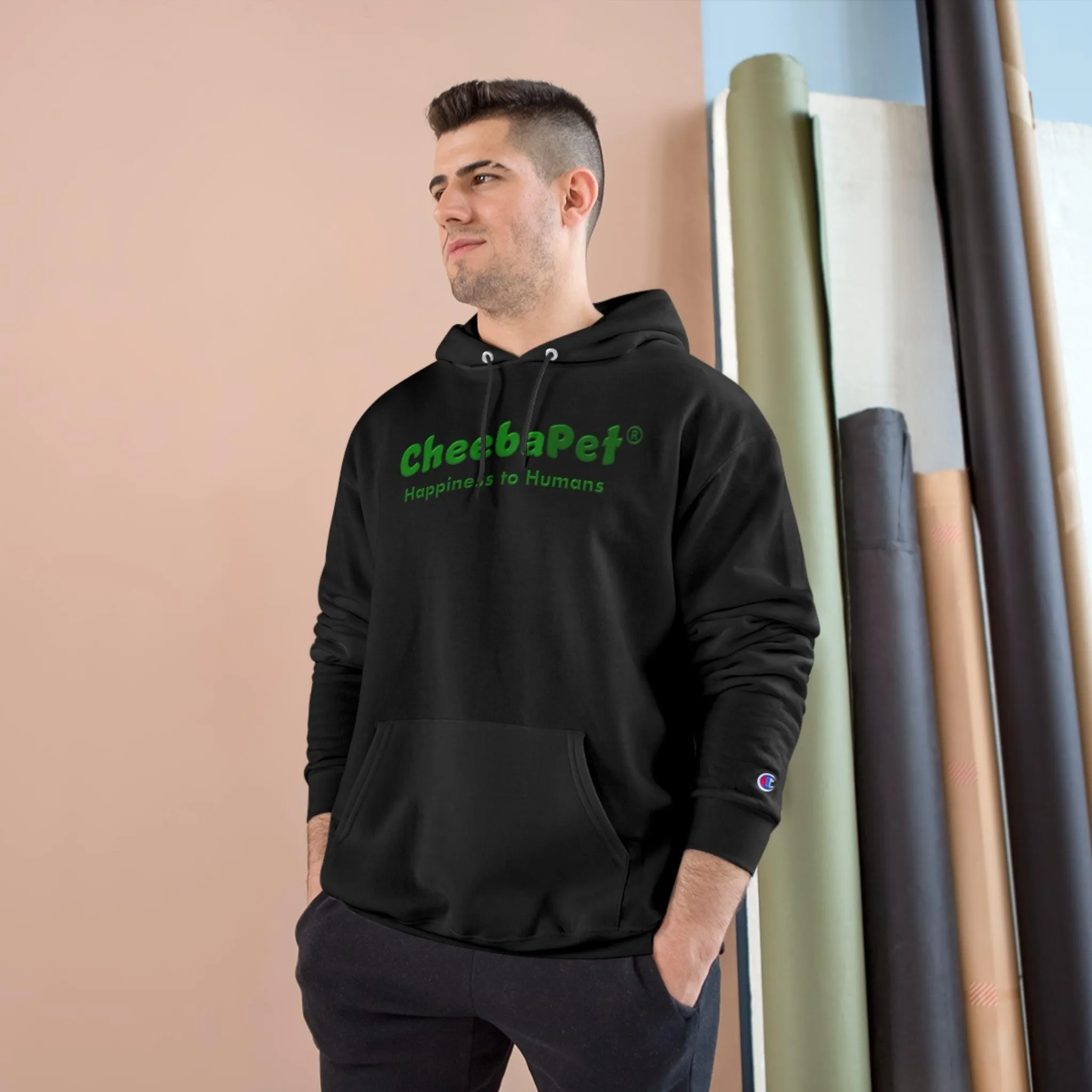 Champion Hoodie NorthernLights