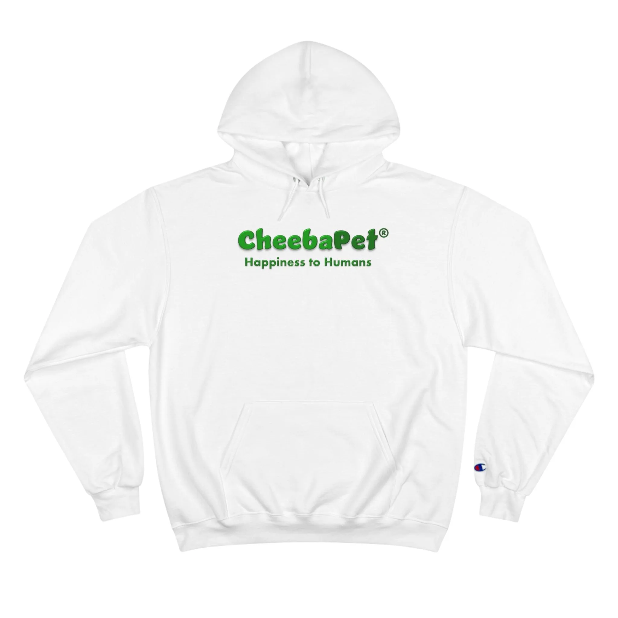 Champion Hoodie NorthernLights