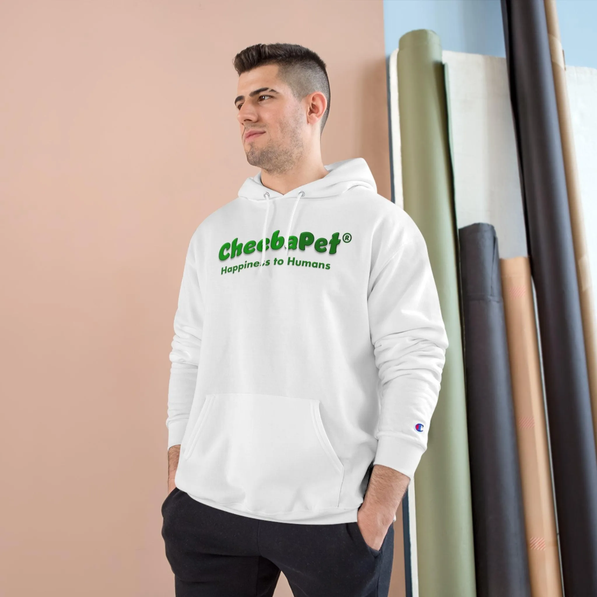 Champion Hoodie NorthernLights