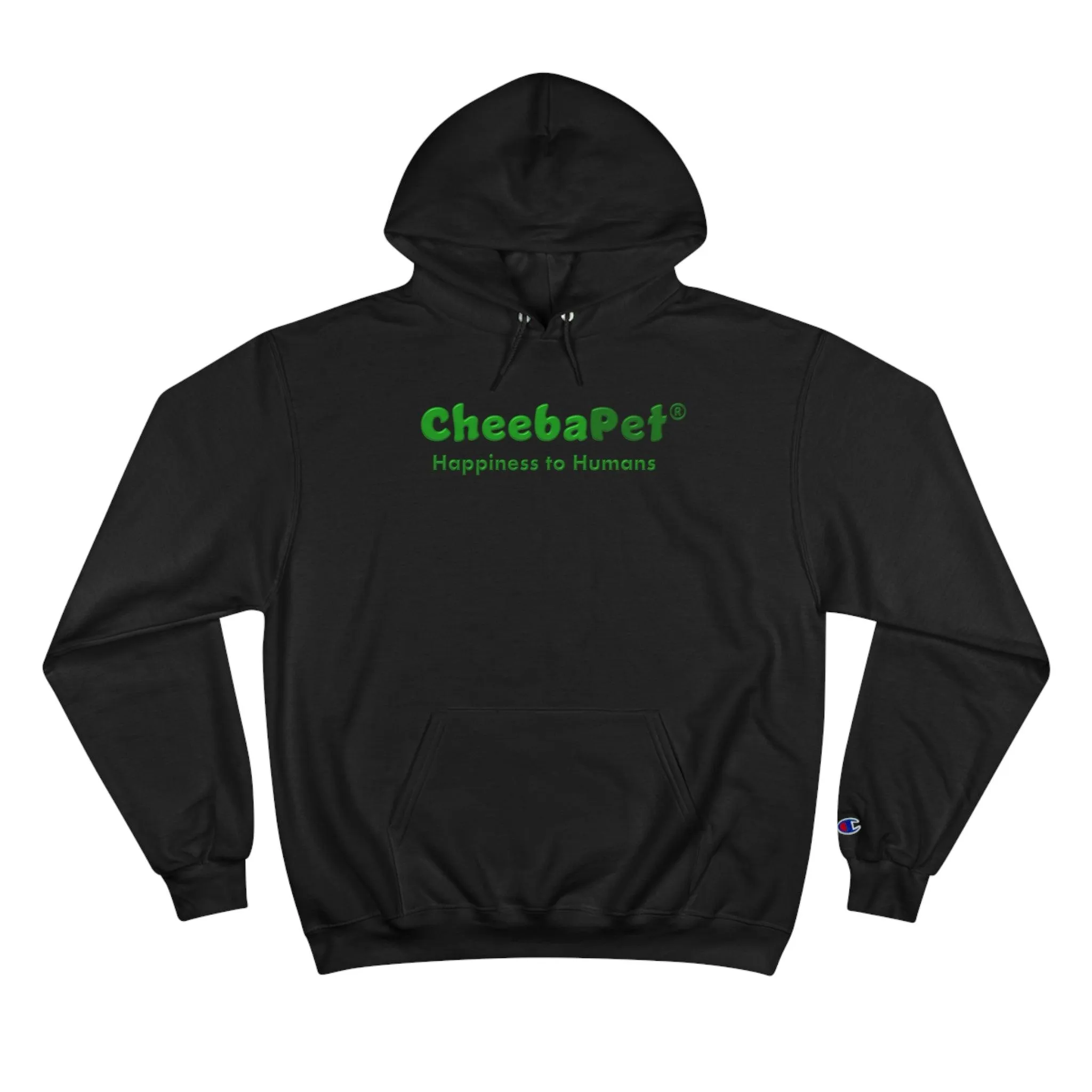 Champion Hoodie NorthernLights