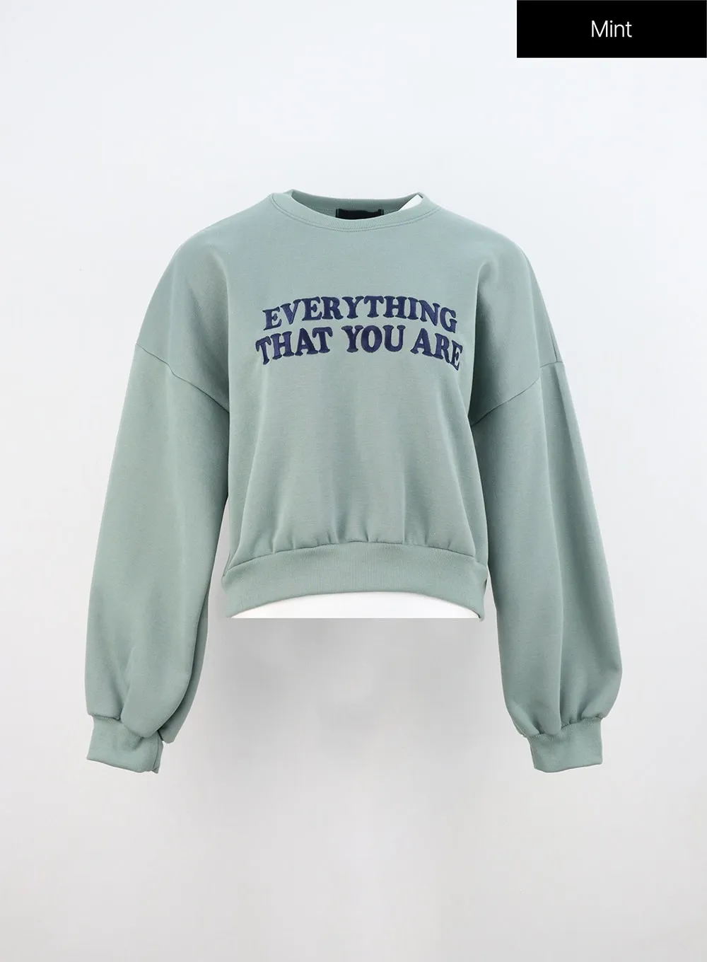 Lettering Crop Sweatshirt ON310