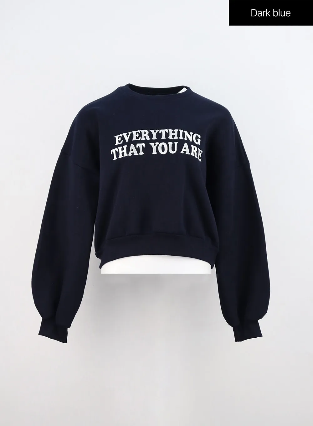 Lettering Crop Sweatshirt ON310